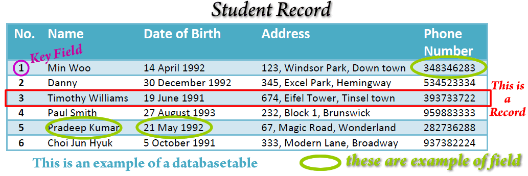 database-table